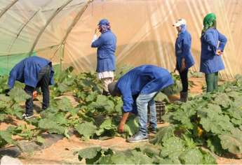 2014 مباراة ولوج معهد التقنيين المتخصصين في الفلاحة السويهلة