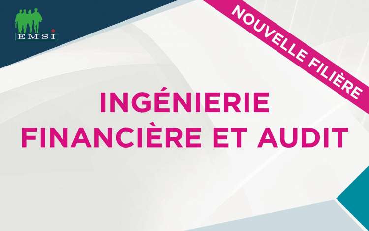 Groupe EMSI Lance l'Ingénierie Financière et Audit