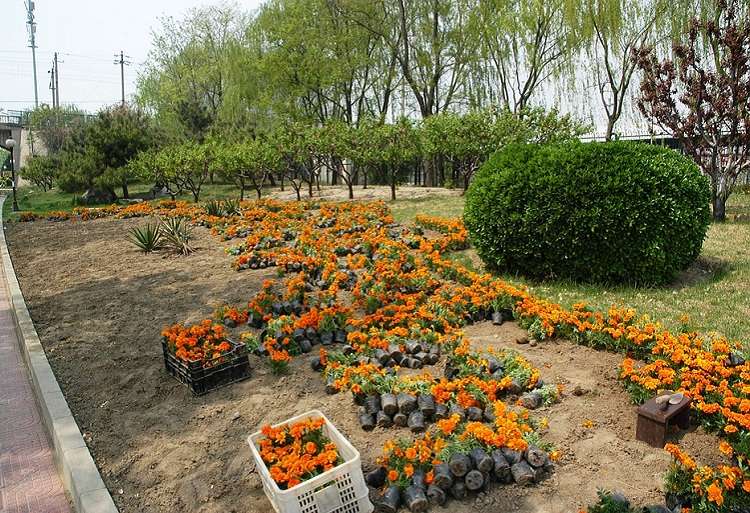 مباراة ولوج مستوى التقني الفلاحي شعبة البستنة بساحل بوطاهر تاونات 2019