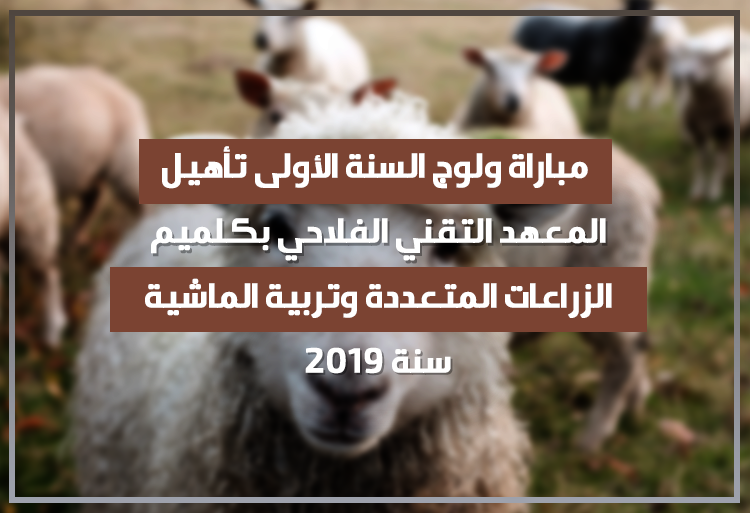 مباراة ولوج السنة الأولى تأهيل بالمعهد التقني الفلاحي بكلميم 2019