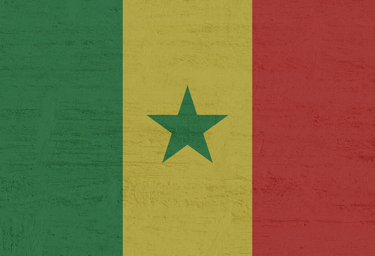 Bourses d'études au premier cycle au Sénégal 2021-2022