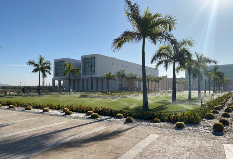 Université Egypte-Japon : Bourses d'études Master et doctorat 2024-2025