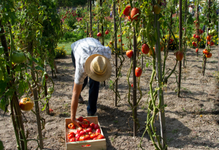 فتح باب الترشيح لولوج مركز التأهيل الفلاحي بتزنيت 2024-2025